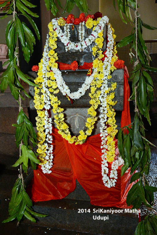 Vrindavan Pooja By Shri Vidyavallabha Swami On 12 Jan 2014